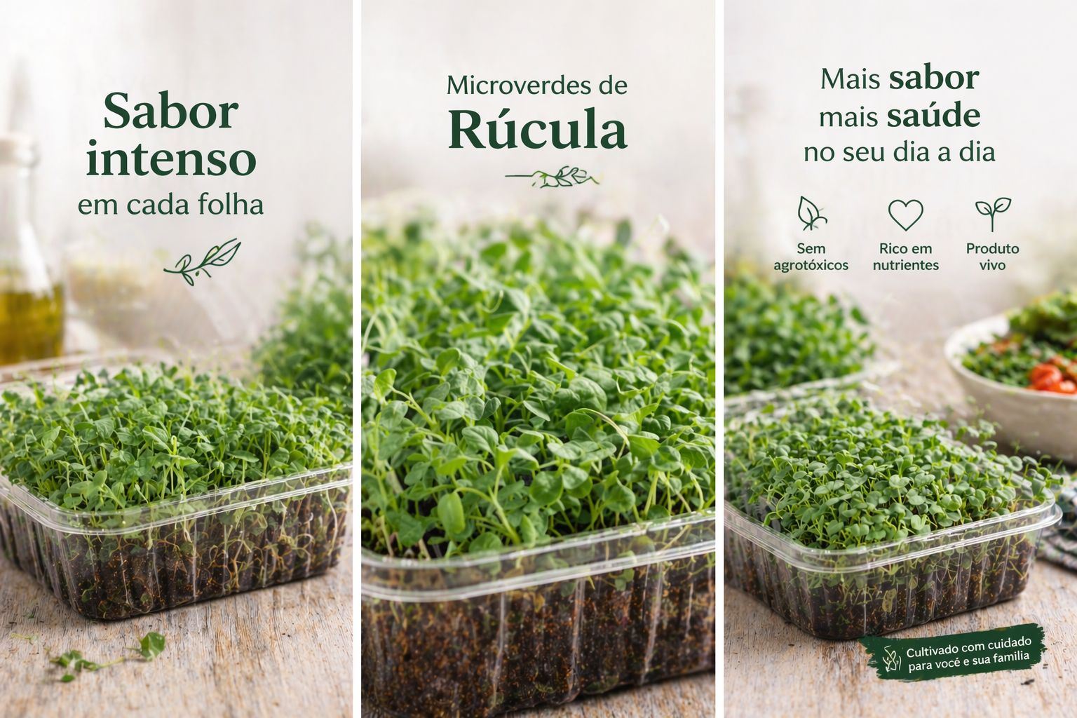 Micro Rúcula
