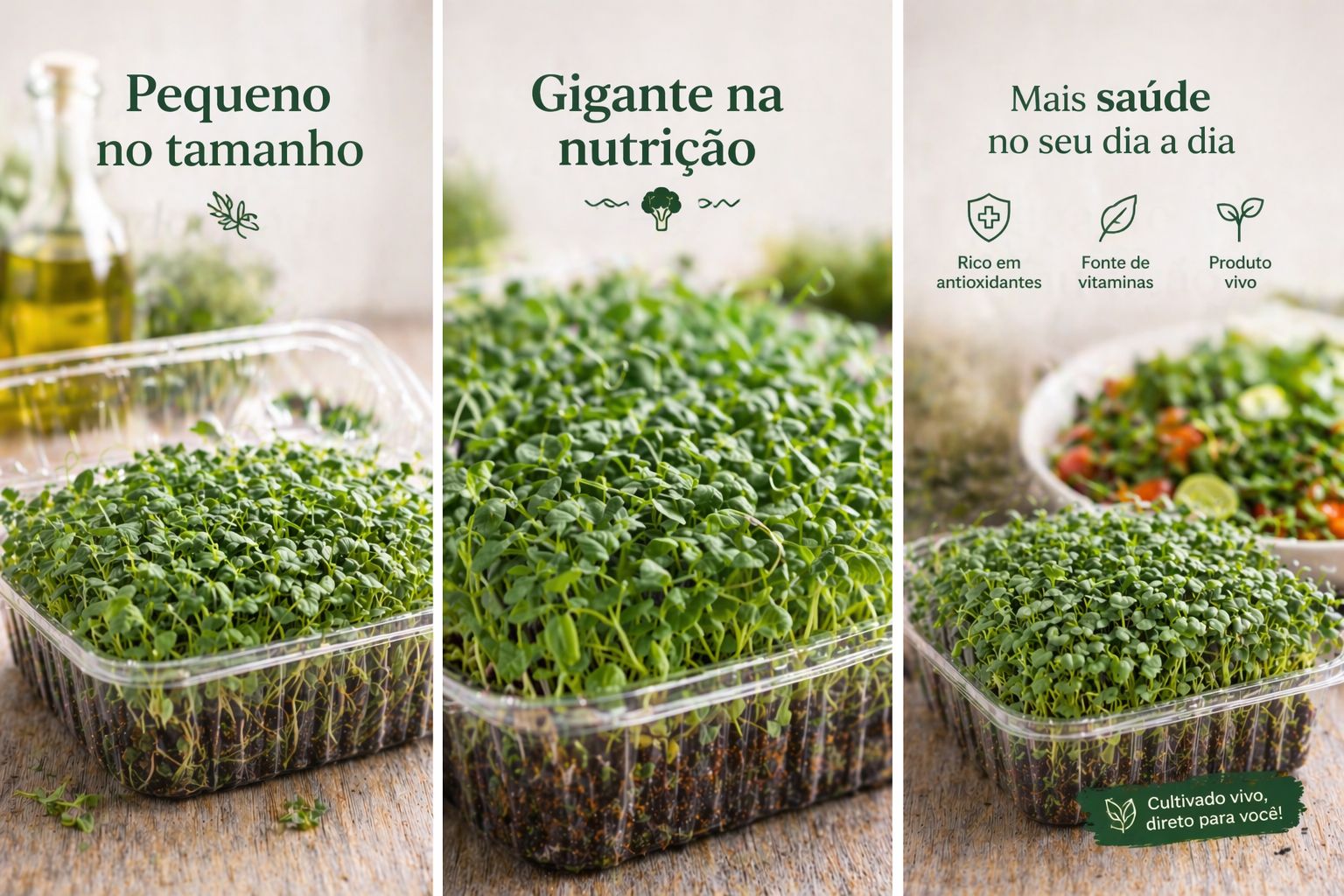 Micro Brócolis