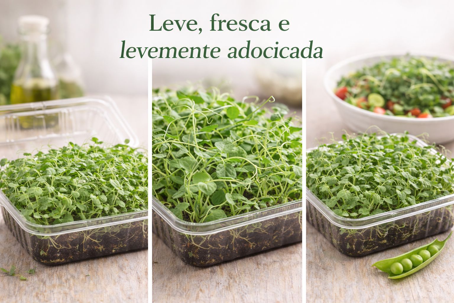 Micro Ervilha